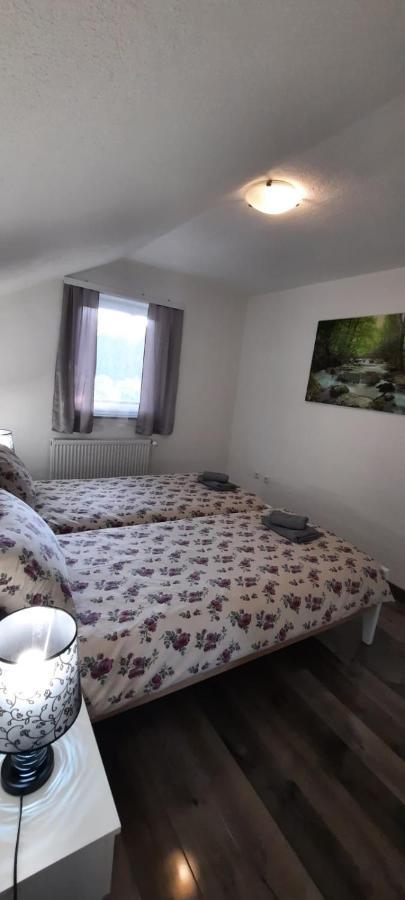 Apartman Karolina Rudanovac Εξωτερικό φωτογραφία